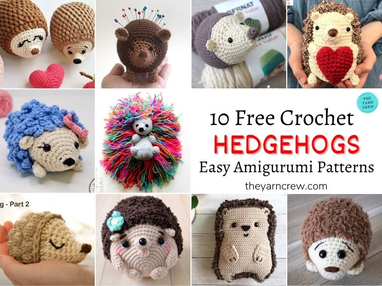 10 Free Crochet Hedgehogs Easy Amigurumi Patterns - The Yarn Crew