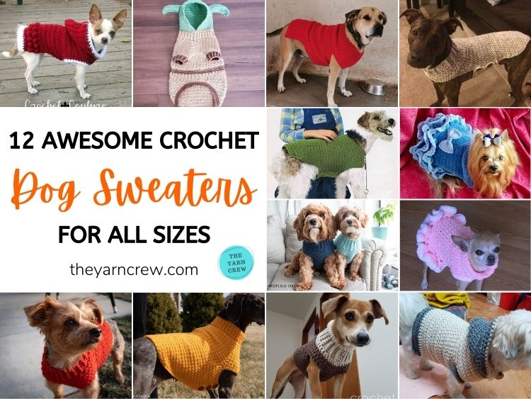 12 Awesome Crochet Dog Sweaters For All Sizes FB POSTER