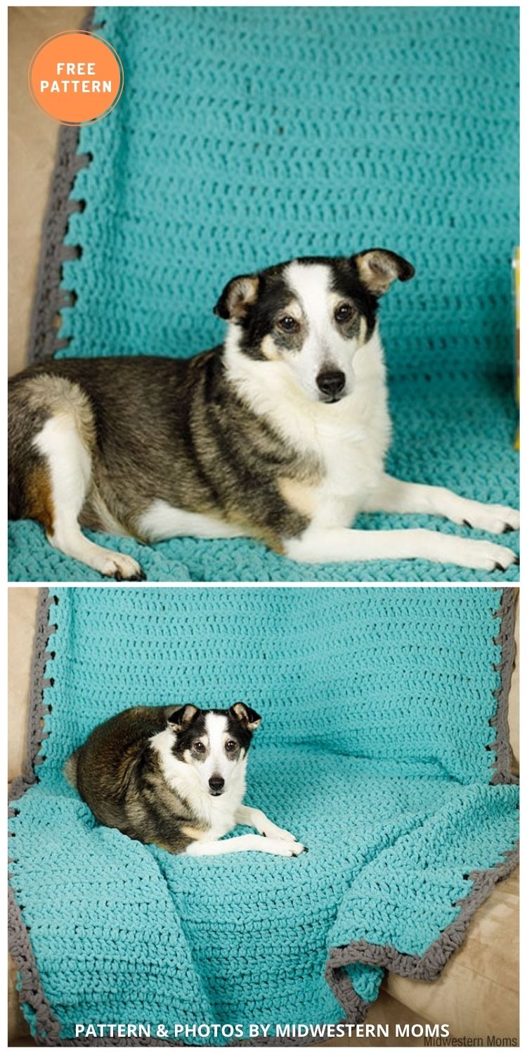 Dog Blanket Couch Cover - 5 Best Free Crochet Blankets For Dogs Patterns