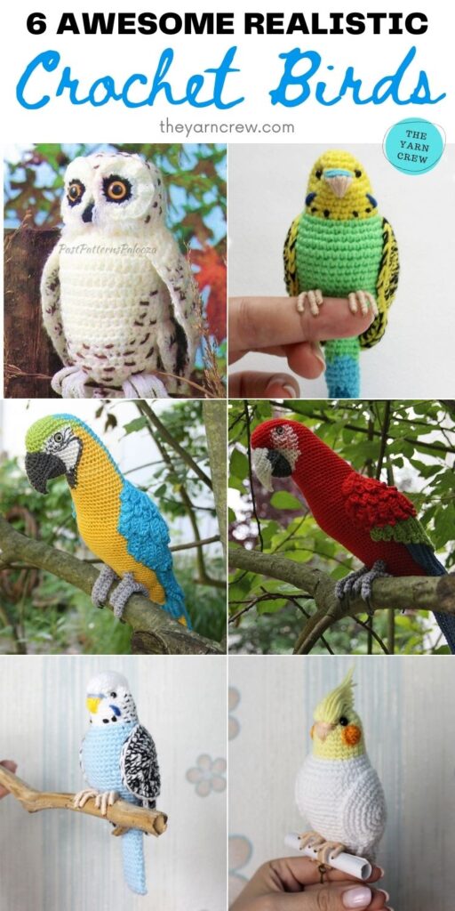 6 Awesome Realistic Crochet Birds PIN 2