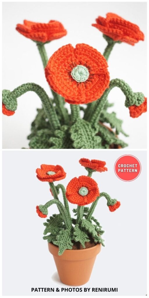Crochet Red Poppy Pot Flower - 11 Crochet Remembrance Poppy Flower Patterns