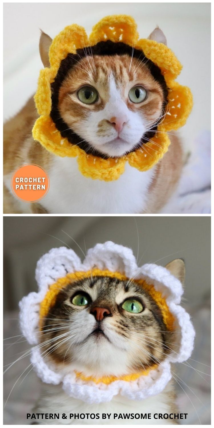 Cat Flower Collar - 6 Easy Crochet Cat Collar Patterns