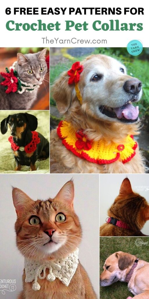 6 Free Easy Patterns For Crochet Pet Collars PIN 2