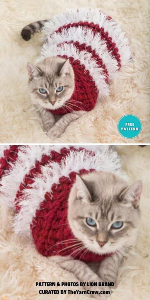 Holiday Pet Sweater - 6 Fabulous Crochet Christmas Costumes For Cats