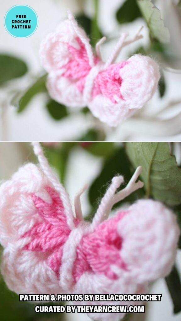 9. Free Pattern_ Crochet Butterfly - 15 Free Beautiful And Colorful Crochet Butterflies Patterns - The Yarn Crew