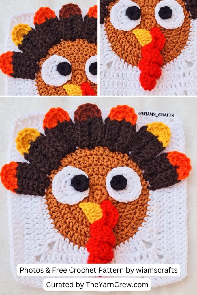 13. Turkey Granny Square - The Yarn Crew