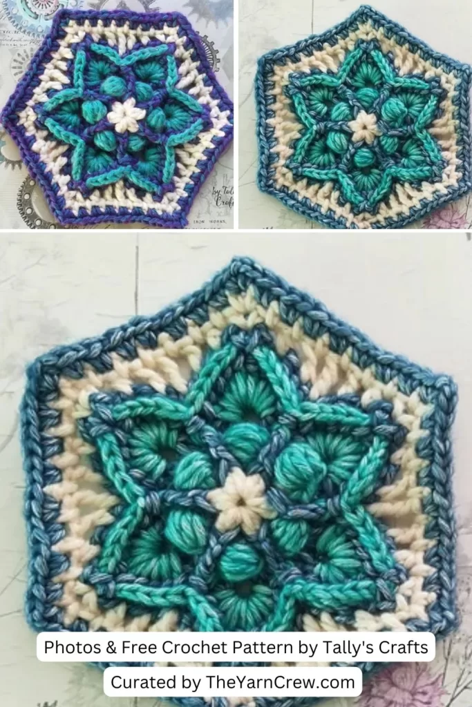 13. Traveller's Joy Hexagon - The Yarn Crew