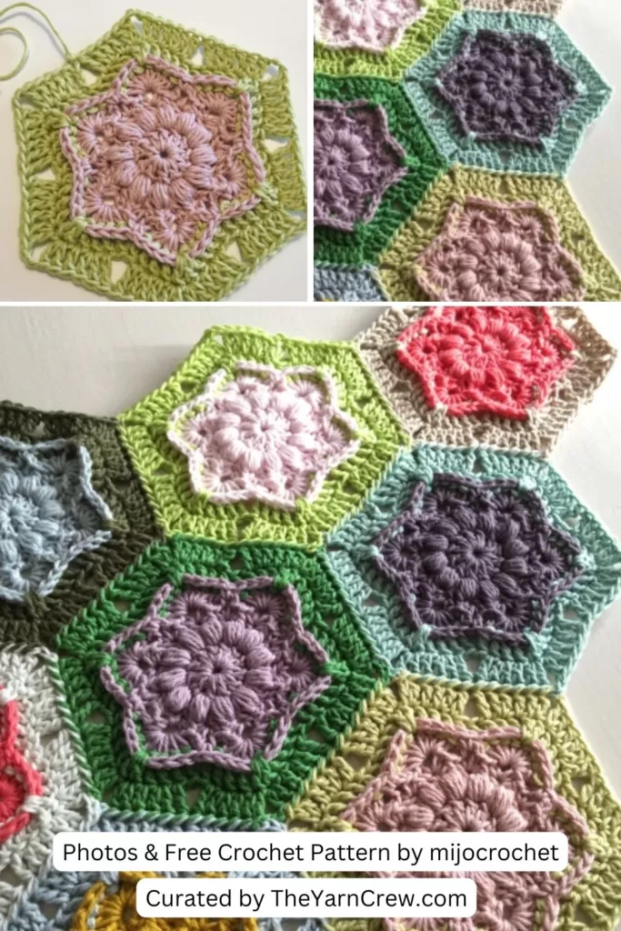 3. Wind Flower Hexagon - The Yarn Crew