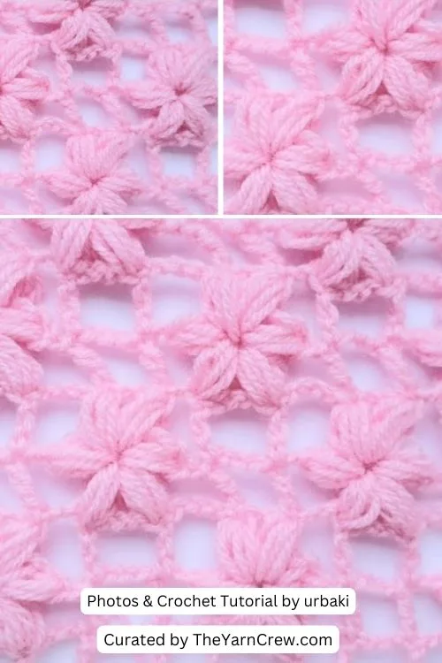 3. Learn How to Crochet this Flower Mesh Crochet Stitch - The Yarn Crew