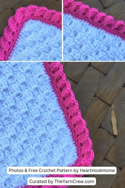 10. How to Crochet the Reverse Shell Border Using Single Crochet - The Yarn Crew
