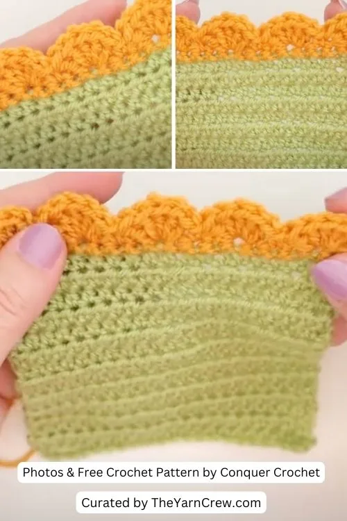 8. Shell Stitch Border - Scalloped Edging - The Yarn Crew