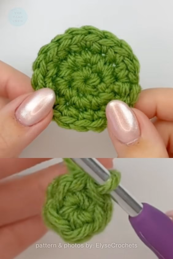 A two-panel graphic displaying fingers holding a finished flat green crocheted circle in the top frame, and a close-up of a crochet hook working into a small green yarn ring in the bottom frame. Curated by Ariana of TheYarnCrew.